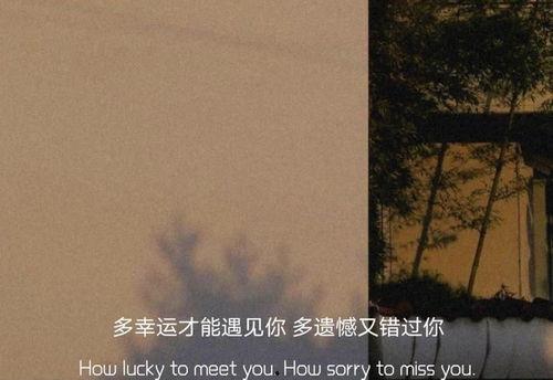 最新情感文案真实爆料,感人至深的情感告白 第1张 最新情感文案真实爆料,感人至深的情感告白 第1张